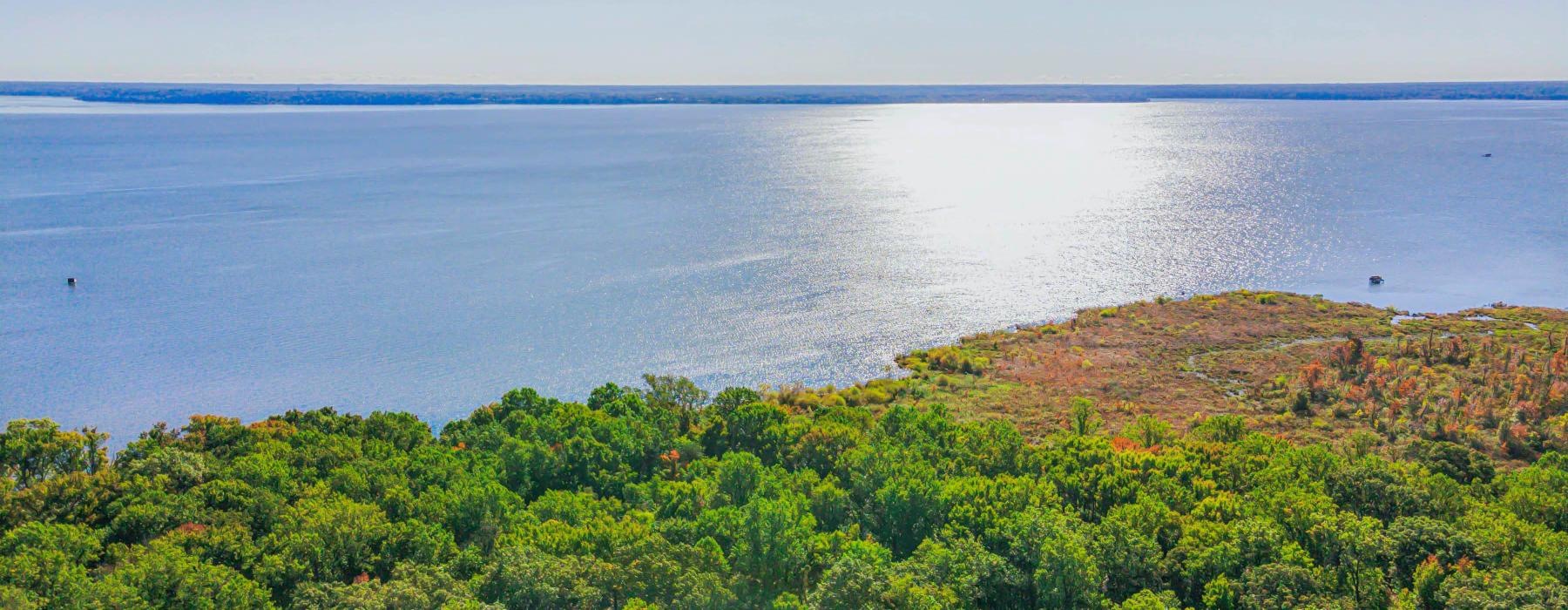 a body of water with trees around it